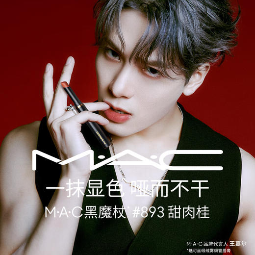 MAC魅可丝缎绒雾细管唇膏 893# 商品图1