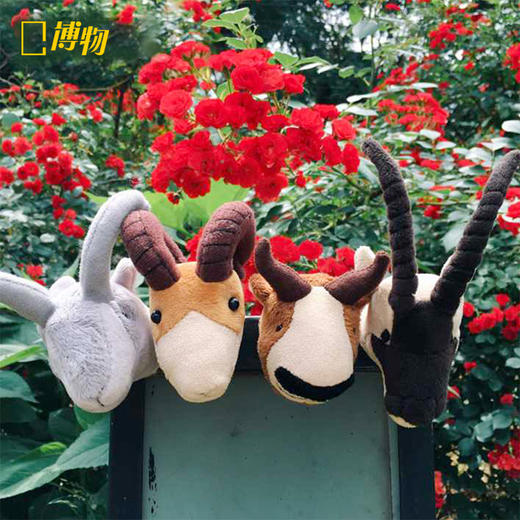 博物小馆原创【高冷四羊】毛绒 高原珍稀动物Q版毛绒玩偶冰箱贴 商品图0