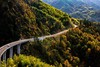 金秋醉美湖北大别山——银杏染荆楚 ，红叶正当时...随州大洪山、千年古银杏、大悟红叶海、罗田圣人堂、河西畈水上红叶、天堂湖湿地、马鬃岭秋色8天行摄之旅 商品缩略图14