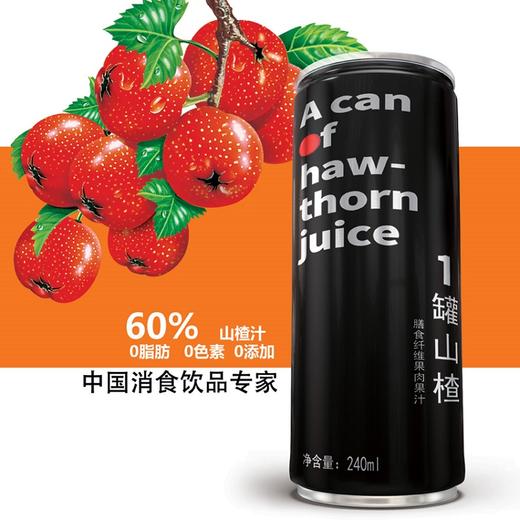 天芝润山楂膳食纤维果汁饮料240ml*16罐装整箱 商品图0