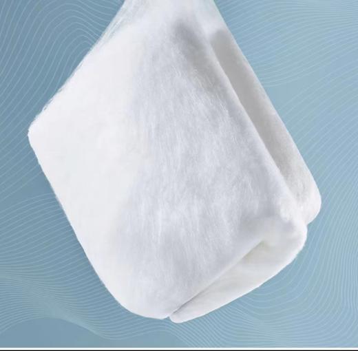 富丽岛家纺伊诺桑蚕丝被 商品图3