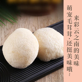 新鲜猴头菇是中国八大“山珍”之一 自古就有“山珍猴头，海味燕窝”之说，与熊掌、海参和鲨鱼翅并列为四大名菜  肉嫩味香，鲜美可口，营养丰富，色、香、味上乘。顺丰包邮
