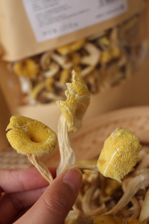 【鸡油菌干货】云南香格里拉 125克 商品图3