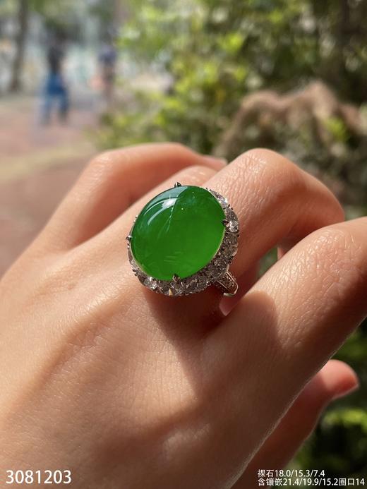 老坑高冰艳绿蛋面戒指【3081203】具体价格微信咨询 商品图1