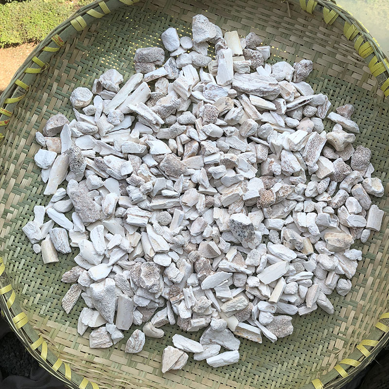 龙骨  生小龙骨颗粒   粘牙