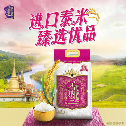 香纳兰臻选泰国香米【5kg】 商品图0