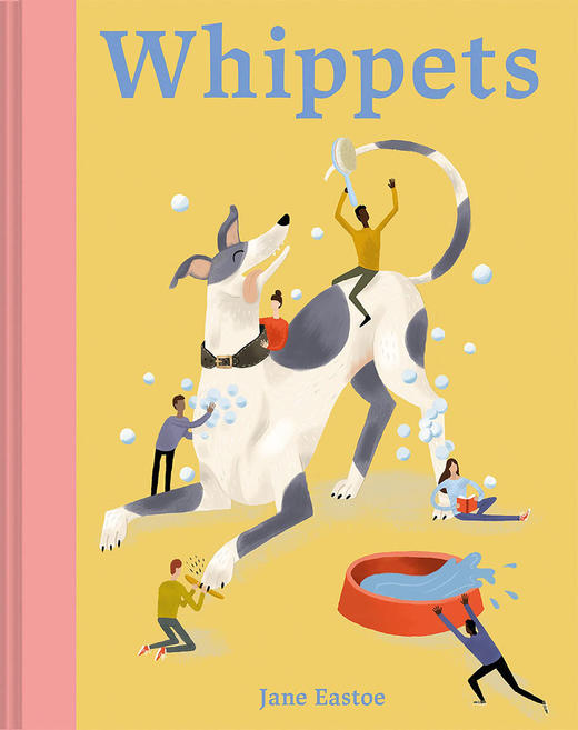 惠比特犬饲养指南 英文原版 Whippets 精装插图本 商品图0