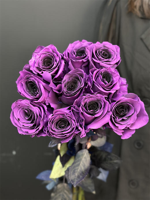 厄瓜多尔染色VIOLET AMETHYST紫罗兰10支 商品图2