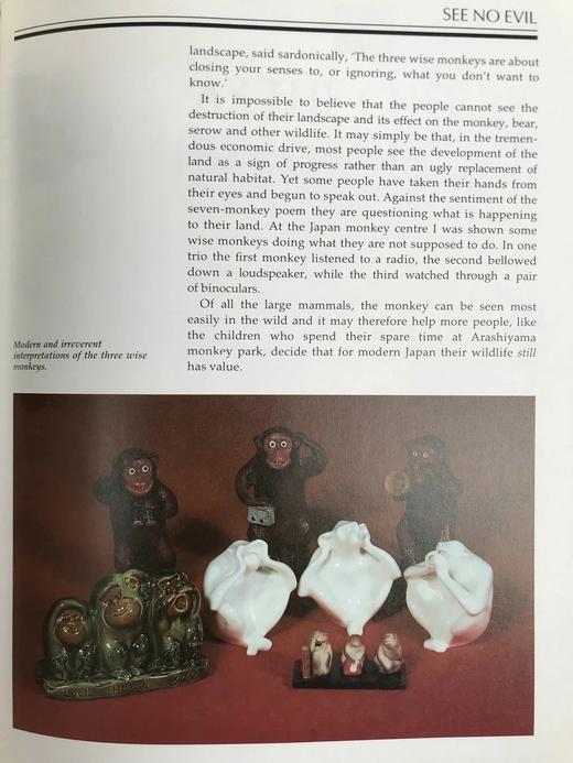 富士山阴下：日本野生动物 约200幅插图 精装16开 商品图14