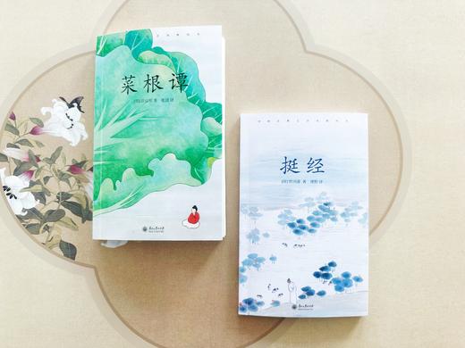 《中国古典生活风雅四书》| 修炼内心境界，发现生活乐趣 商品图5