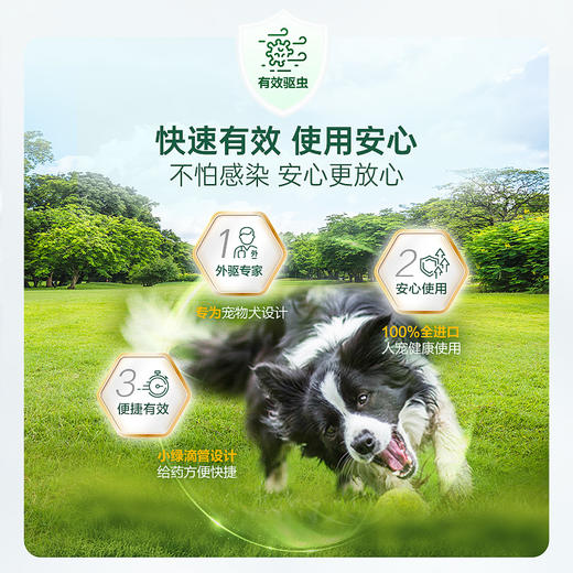 【特惠价】福来恩体外驱虫药 增效滴剂(10kg以下犬用) 3支装 商品图2