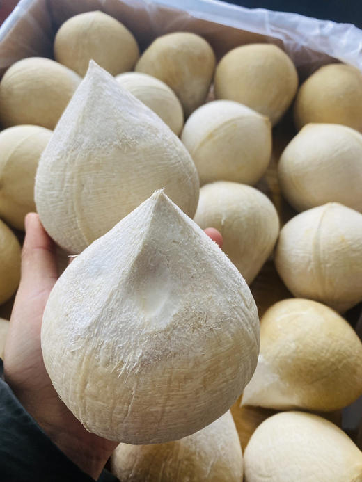 日期新鲜！空运泰国新鲜椰皇  去油去腻，香滑甘甜，纯正天然。让孩子远离加工饮料吧！ 商品图5