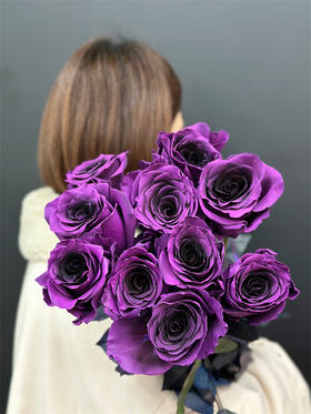 厄瓜多尔染色VIOLET AMETHYST紫罗兰10支