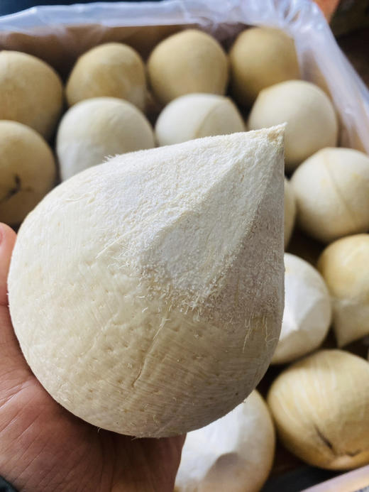 日期新鲜！空运泰国新鲜椰皇  去油去腻，香滑甘甜，纯正天然。让孩子远离加工饮料吧！ 商品图4