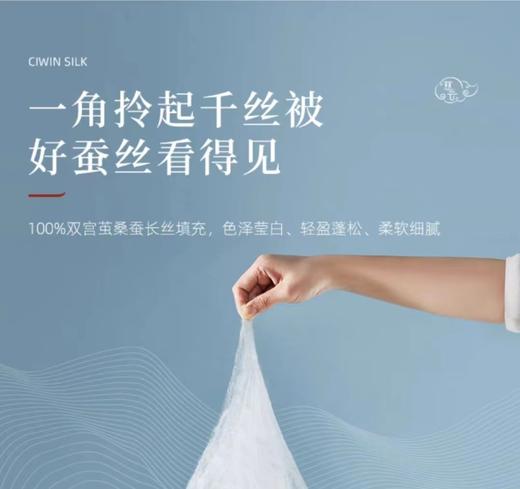 富丽岛家纺伊诺桑蚕丝被 商品图2