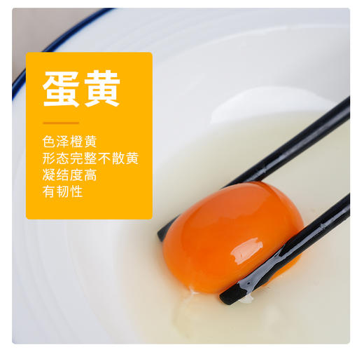 聼瀑崖 湖北硒都恩施山养含硒粉壳土鸡蛋/初生蛋 商品图4