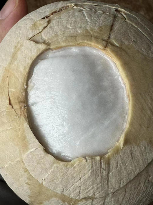 日期新鲜！空运泰国新鲜椰皇  去油去腻，香滑甘甜，纯正天然。让孩子远离加工饮料吧！ 商品图3