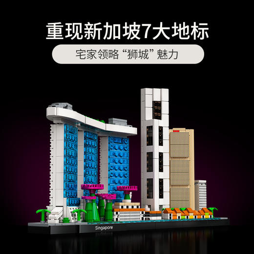 乐高LEGO 新加坡LEGC21057 商品图1