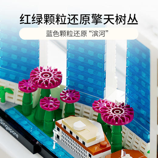 乐高LEGO 新加坡LEGC21057 商品图4