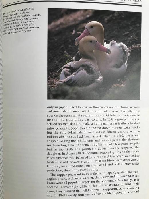 富士山阴下：日本野生动物 约200幅插图 精装16开 商品图10