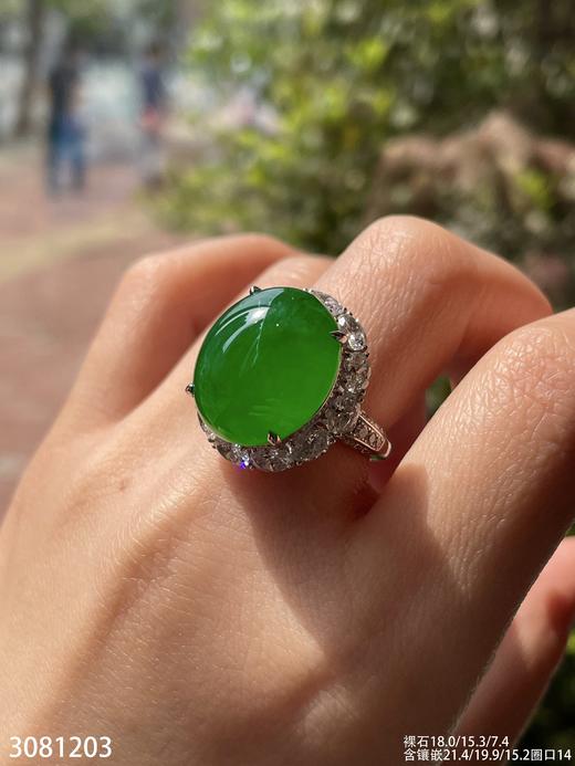 老坑高冰艳绿蛋面戒指【3081203】具体价格微信咨询 商品图0