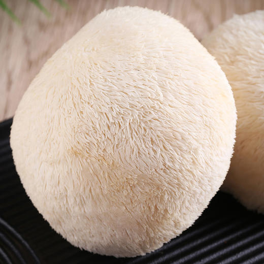 新鲜猴头菇是中国八大“山珍”之一 自古就有“山珍猴头，海味燕窝”之说，与熊掌、海参和鲨鱼翅并列为四大名菜  肉嫩味香，鲜美可口，营养丰富，色、香、味上乘。顺丰包邮 商品图2