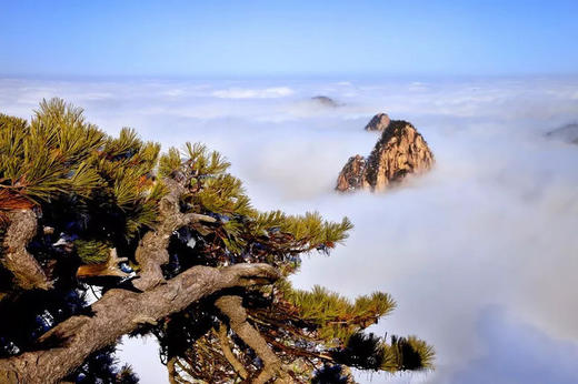 皖南秋色休闲摄影7天： 黄山（住宿两晚）、屯溪、呈坎、坡山、石潭、昌溪、阳产 、塔川、新安江画廊 商品图0