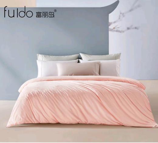 富丽岛家纺伊诺桑蚕丝被 商品图1