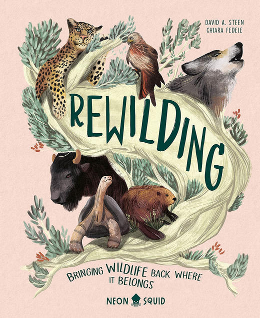 回归自然 将动物带回他们属于的地方 英文原版  Rewilding : Bringing Wildlife Back Where It Belongs 生态保护科普童书 商品图0