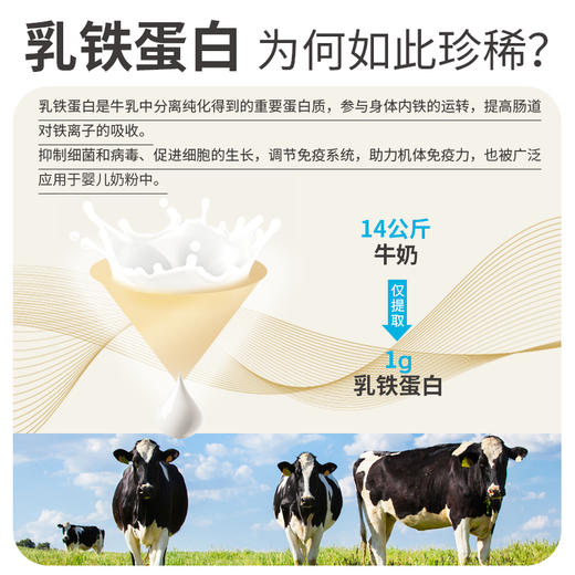 麦富迪狗粮乳铁蛋白成犬粮专用粮1.8kg 商品图3