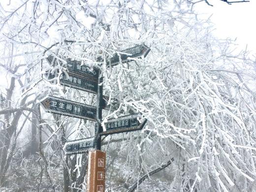 冬摄浙江:台州小箬村、天台大瀑布、神仙居、千年曙光园、龙头山摄影基地、温州泰顺廊桥、春晚《碇步桥》原型、楠溪江风光5-9天 商品图2