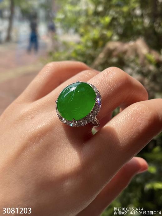 老坑高冰艳绿蛋面戒指【3081203】具体价格微信咨询 商品图7
