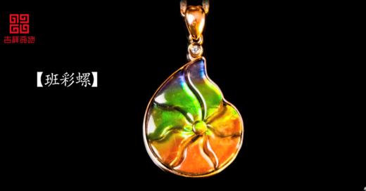 吉祥天地 斑彩螺项链 商品图0