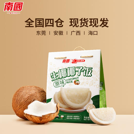 南国食品生椰原味椰子饭538g多种口味 商品图1