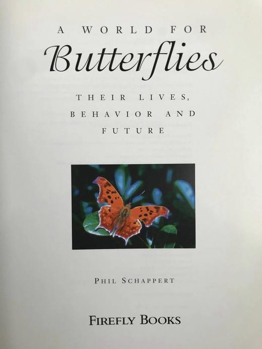 蝴蝶的世界 数百幅彩色插图 平装16开 商品图3