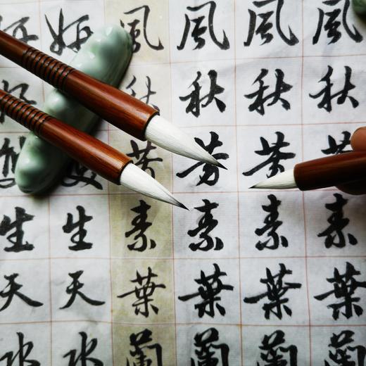 【颜韵兰蕊】书法绘画专业级用笔 商品图1