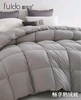 富丽岛家纺简尚羽绒被 商品缩略图2
