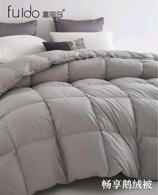 富丽岛家纺简尚羽绒被 商品图2