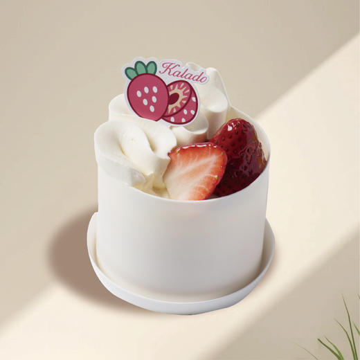 草莓乐乐 商品图0