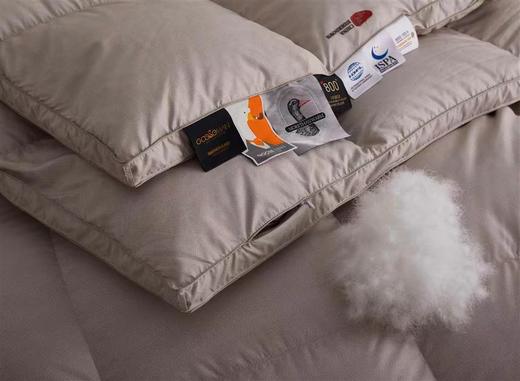 富丽岛家纺简尚羽绒被 商品图1