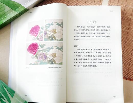 《中国古典生活风雅四书》| 修炼内心境界，发现生活乐趣 商品图8