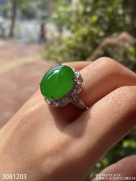老坑高冰艳绿蛋面戒指【3081203】具体价格微信咨询 商品图8