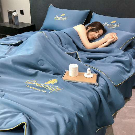 水洗冰丝夏被刺绣空调被纯色四件套XR-lomyxb001 商品图2