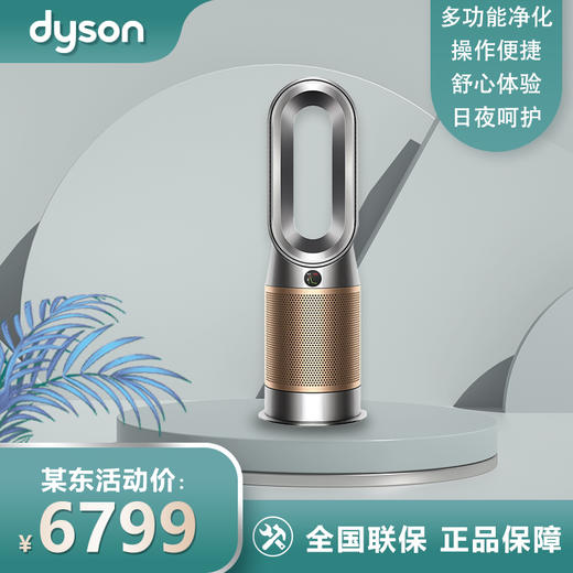 戴森 DYSON HP09 多功能空气净化暖风扇 兼具净化器暖风扇功能 除菌除甲醛 整屋净化 黑金色 商品图0