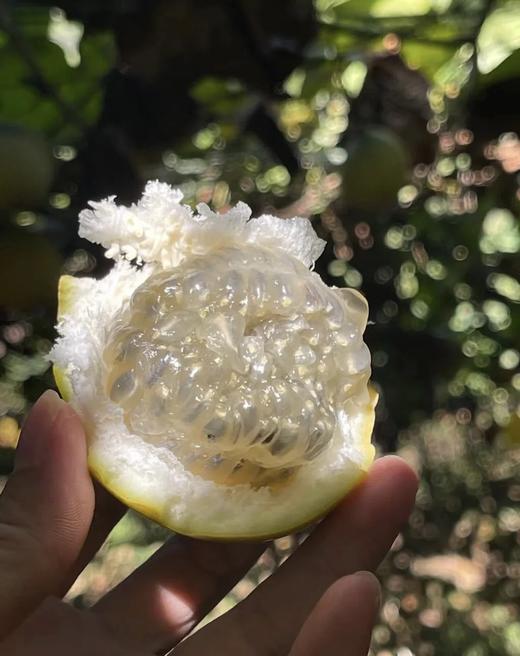 热情果/情人果 热带水果纯甜无酸 软籽多汁 独特香气 商品图4