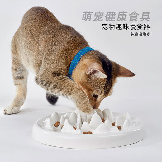 慢食碗陶瓷猫碗防滑狗碗单碗慢食盆防噎慢食器猫咪缓食盆宠 商品图2