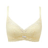 都市丽人自然舒适常规内衣B中厚3/4杯蕾丝文胸三排无钢圈LB31A2 商品缩略图3