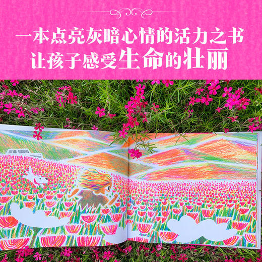 你真的看过一朵花吗？ 商品图2