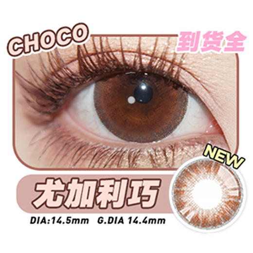 sheepcon 年抛 尤加利巧 直径14.5mm着色14.4mm 商品图0