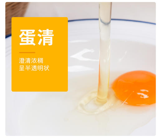 聼瀑崖 湖北硒都恩施山养含硒粉壳土鸡蛋/初生蛋 商品图3